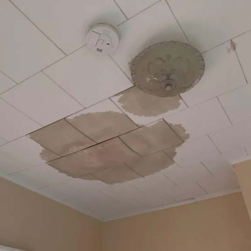 Ceiling Water Damage Repair in Parmer County, TX