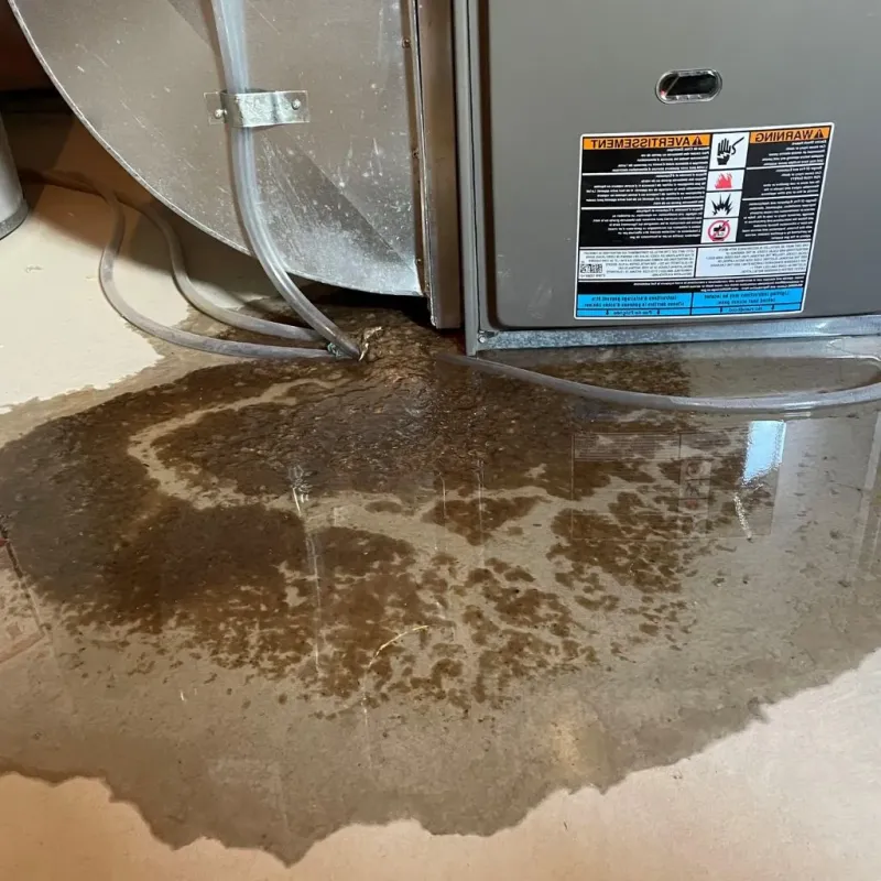 Pipe Burst and Leak Restoration in Parmer County, TX